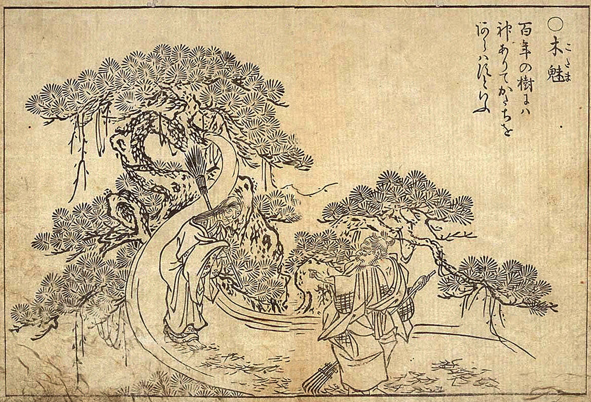 Kodama2, historic, vintage ukiyo-e Japan artwork,12x8"(A4) Poster Print