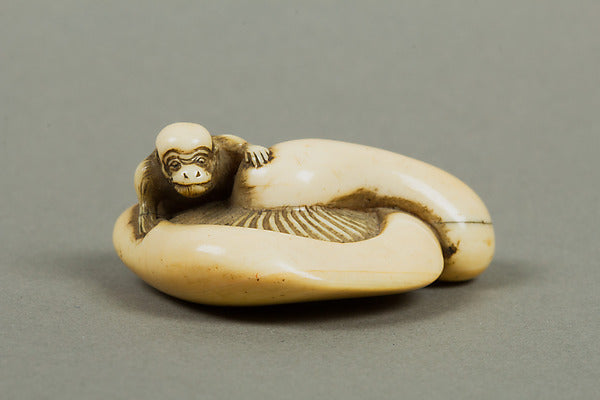 Netsuke of Monkey on a Mushroom 18th cent, Poster Print
