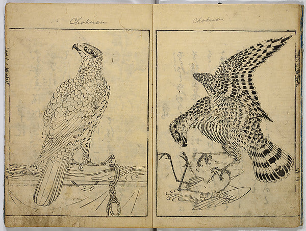 Book of Famous Japanese and Chinese Paintings 1720-?oka Shunbo, Poster Print Wall Art