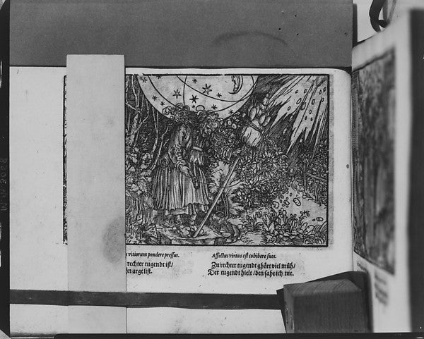 Newe Künstliche Wohlgerissene unnd in Holtz geschnittene Figur, Poster Print