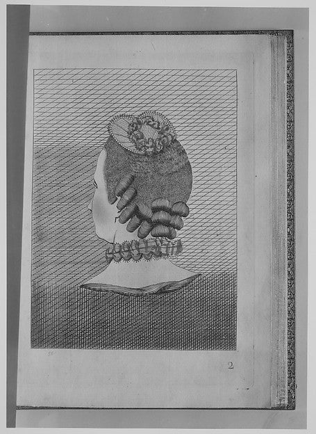 L'Art de la Coeffure des Dames Françoises... 1767,1769-,16x12"(A3)Poster
