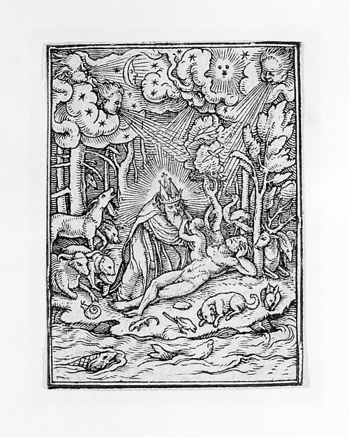 Creation of Eve from The Dance of Death c1526,published 1538, Poster Print Wall Art