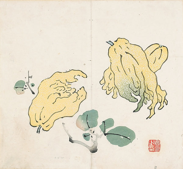 Shizhuzhai shuhua pu,Buddha’s Hand Fruits, after Gao You Leaf,16x12"(A3)Poster