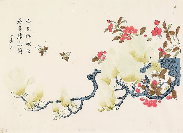 Magnolia and Bees c1700–50-Ding Yingzong,16x12"(A3)Poster