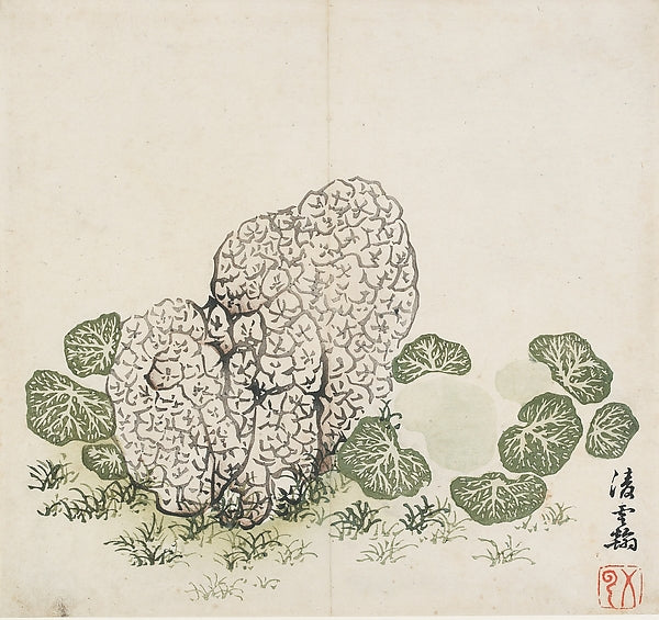 Shizhuzhai Shuhuapu,Lichened Stone and Plants, after Ling Yunh,16x12"(A3)Poster