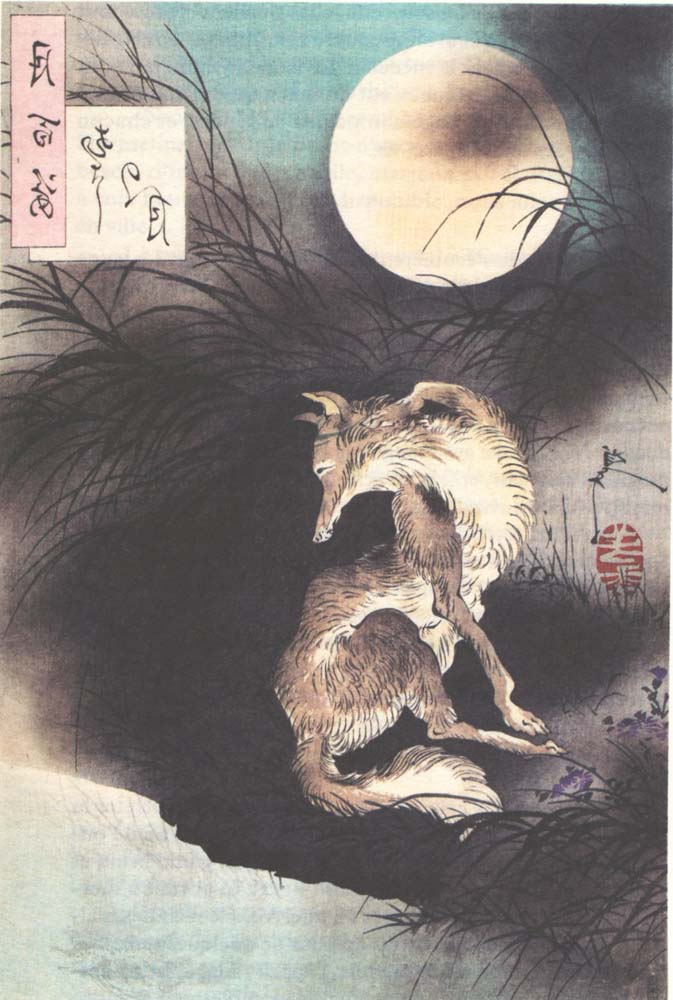 Pleine lune Mushasi Yoshitoshi, historic, vintage ukiyo-e Japan artwork,12x8"(A4) Poster Print