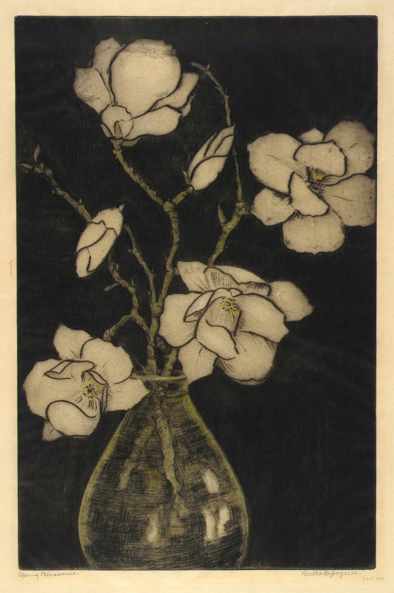Bertha E. Jaques:Spring Blossoms (Tree Magnolia),16x12"(A3)Poster