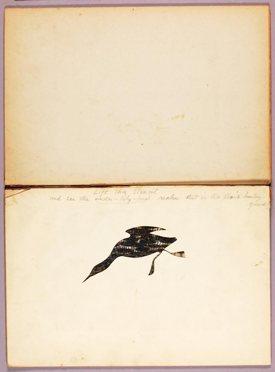 Abbott Handerson Thayer:Loon, study folder for book Conceali,16x12"(A3)Poster