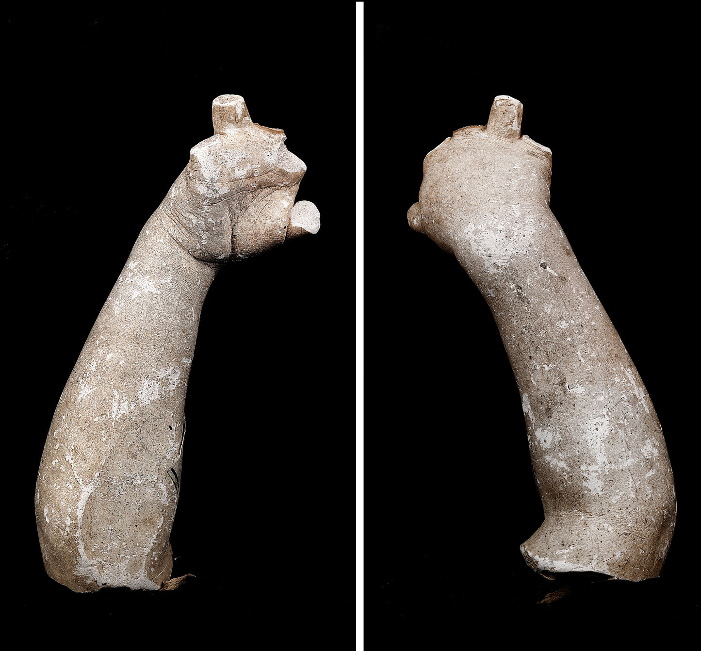 Hiram Powers:Cast of an Unidentified Baby's Right Hand and F,16x12"(A3)Poster