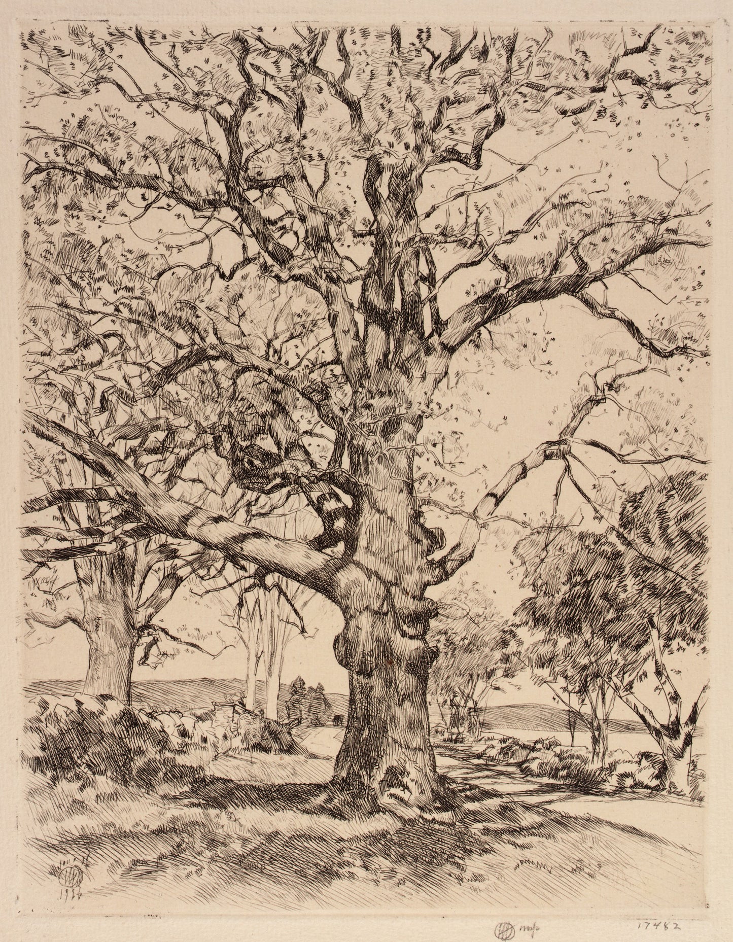 Childe Hassam:Wayside Inn Oaks in Spring,16x12"(A3)Poster
