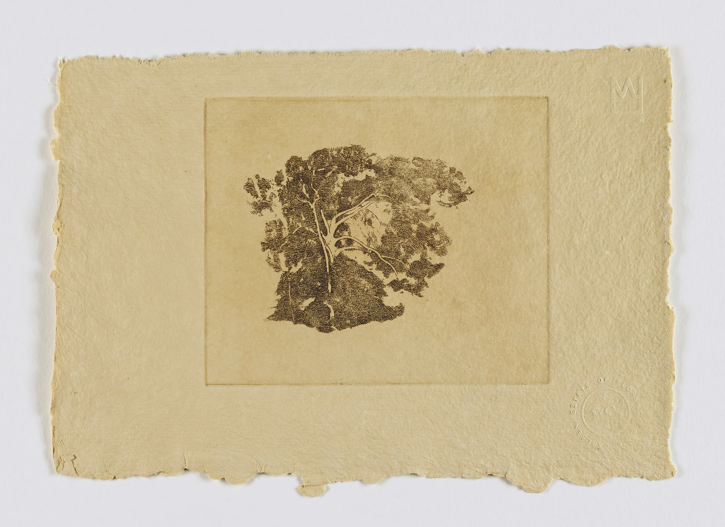 Emil Carlsen:Tree Study (fm. portfolio),16x12"(A3)Poster