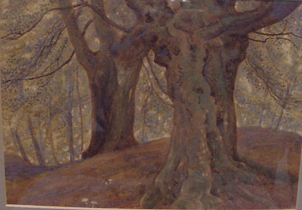 Burnham Beeches 1874-Thomas Charles Farrer, Poster Print - Wall Art
