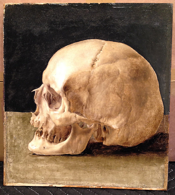 Hercules Segers?:Skull on a Ledge -16x12"(A3) Poster