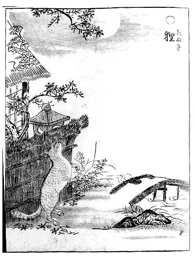Tanuki, historic, vintage ukiyo-e Japan artwork,12x8"(A4) Poster Print