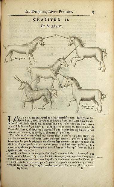 :Histoire générale des drogues Printed 1694-16x12"(A3) Poster