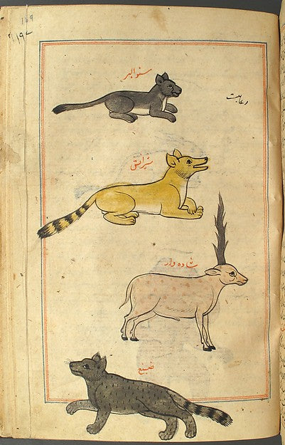 :`Aja'ib al-Makhluqat wa Ghara'ib al-Mawjudat Copied 1701-16x12"(A3) Poster