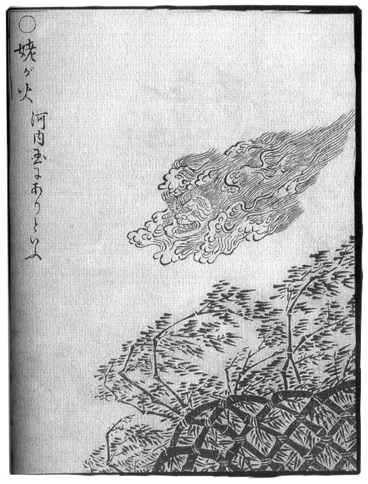 Ubagabi, historic, vintage ukiyo-e Japan artwork,12x8"(A4) Poster Print