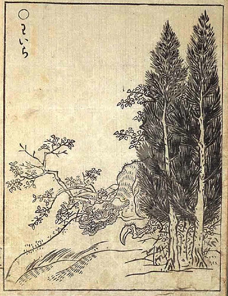 Waira2, historic, vintage ukiyo-e Japan artwork,12x8"(A4) Poster Print
