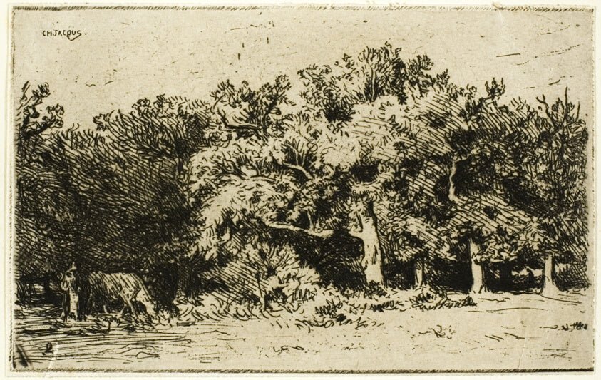 A Part of the Forest of Fontainebleau by Charles emile Jacque, 23x16"( A2 size) Poster Print
