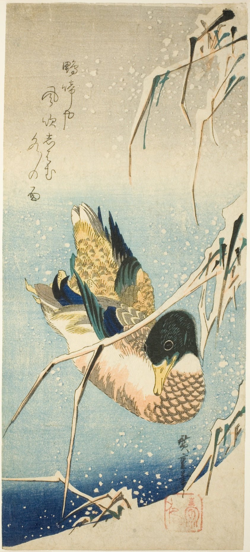 A Wild Duck Swimming by a Snow-covered Bank beneath Snow-laden Reeds by Utagawa Hiroshige ?? ??, 23x16"( A2 size) Poster Print