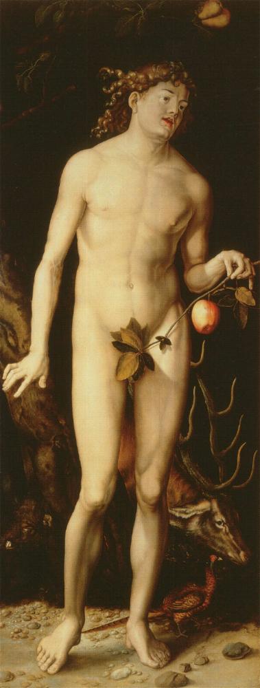 Adam (after Dürer), vintage artwork by Hans Baldung, A3 (16x12") Poster Print