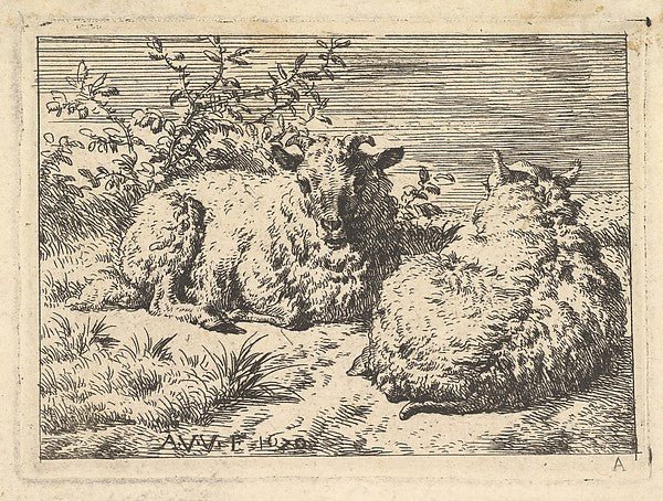 Adriaen van de Velde:Two Recumbent Sheep 1670, vintage artwork, 16x12"(A3) Poster Print