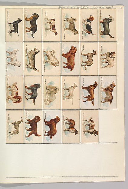 Album 214 page 4 19th century-16x12"(A3) Poster