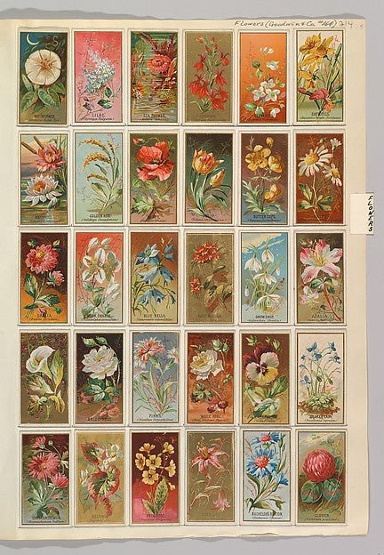 Album 214 page 5 19th century-16x12"(A3) Poster