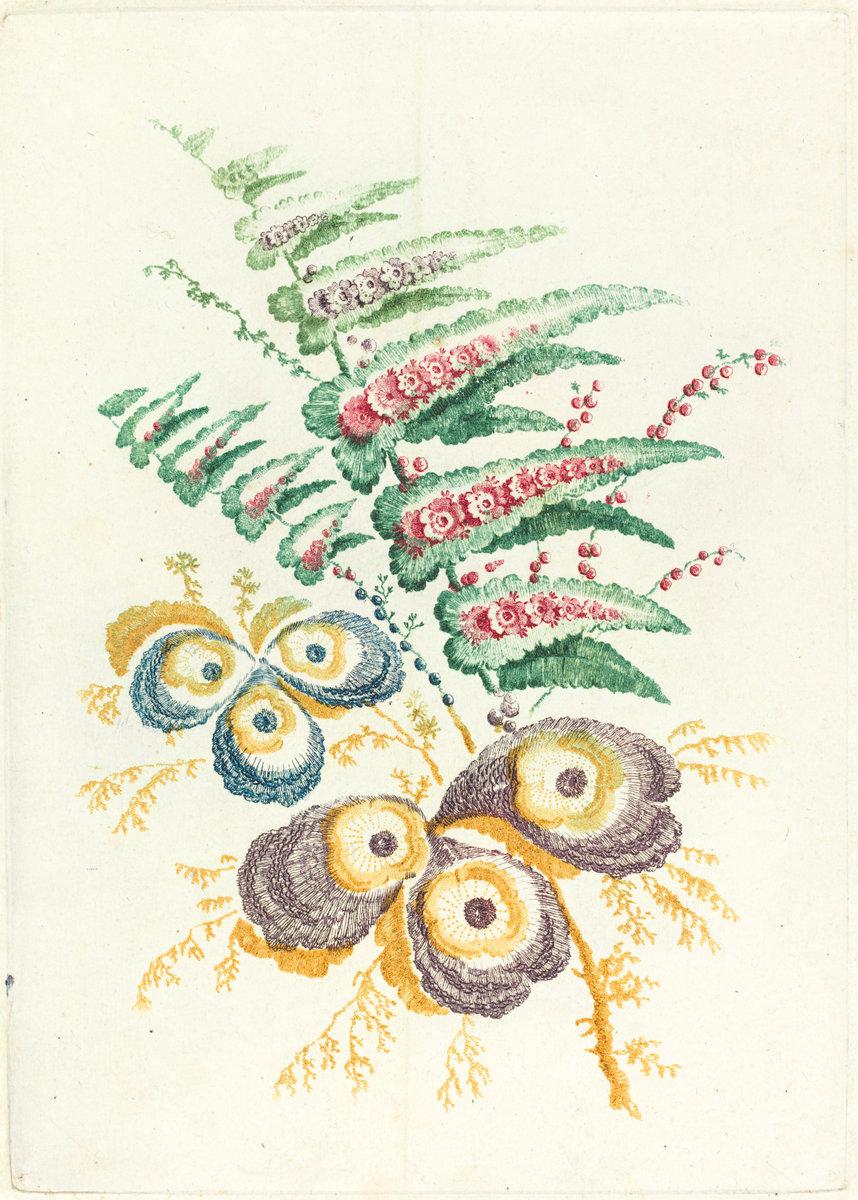 Anne Allen after Jean-Baptiste Pillement:Fantastic Flowers w,16x12"(A3) Poster