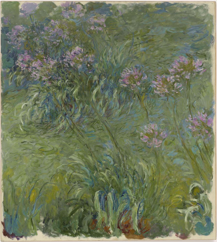 Claude Monet - Agapanthus, vintage art, A3 (16x12") Poster Print