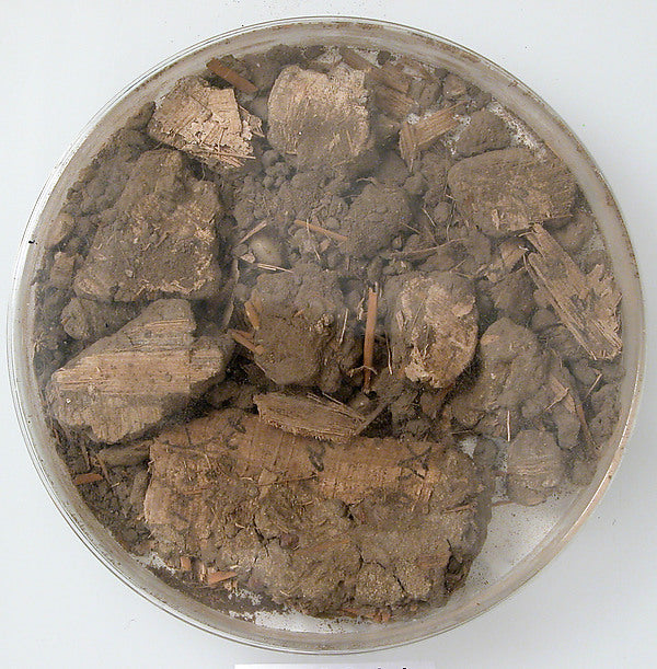 :Papyri Fragments and Mud 7th century-16x12"(A3) Poster