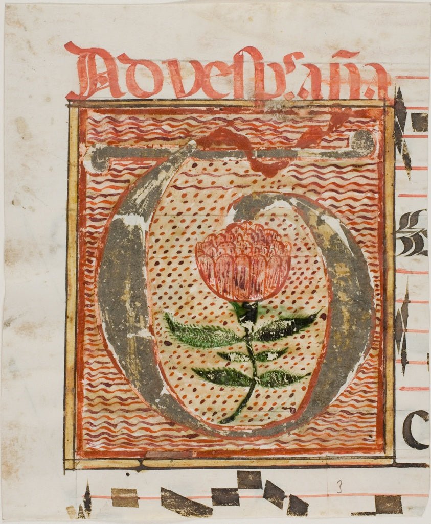 Decorated Initial "T" with Flower from a Manuscript by European,23x16"( A2 size ) Poster Print