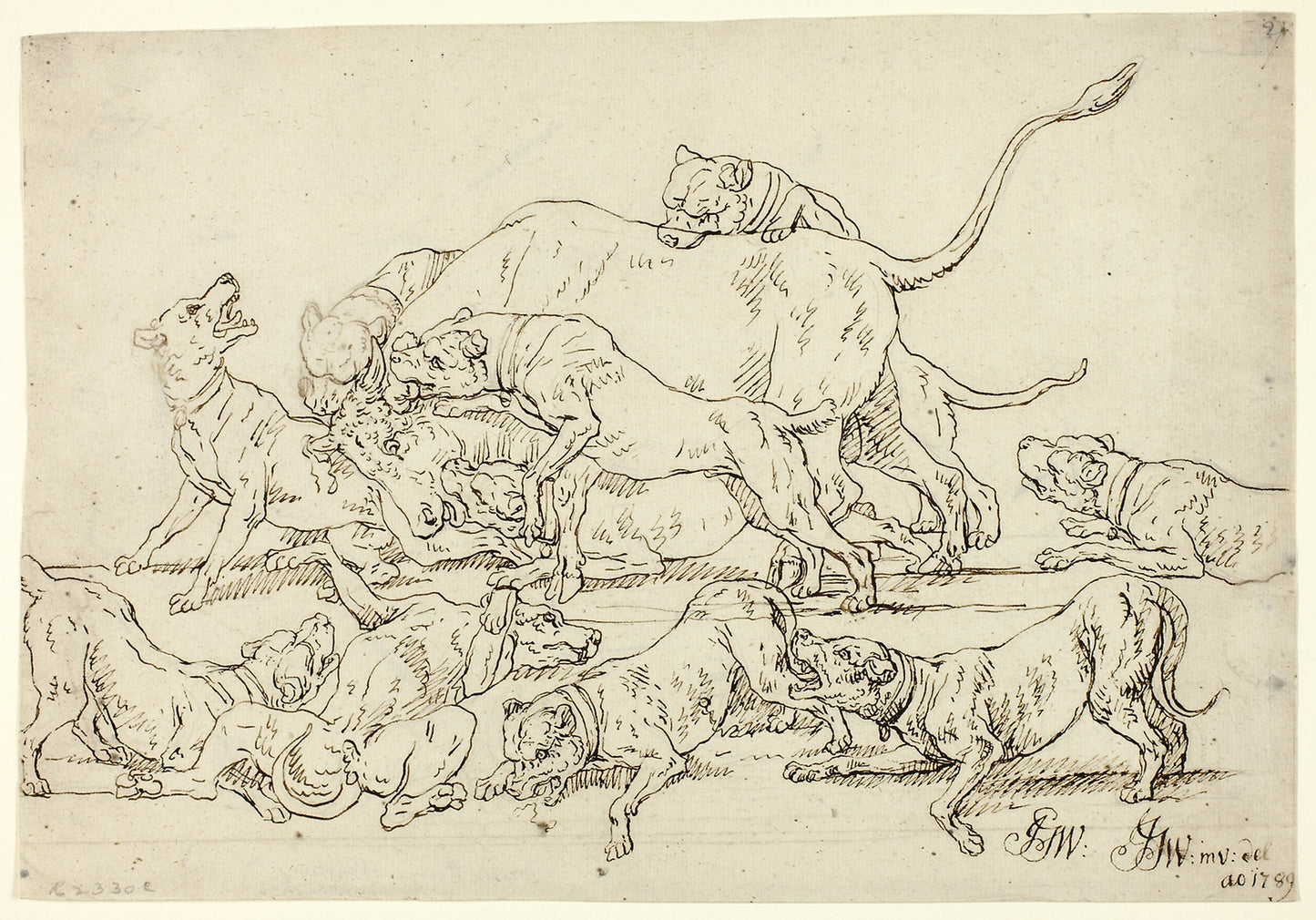 Dogs Attacking a Bull - Joseph Georg Wintter, Poster Print Wall Art