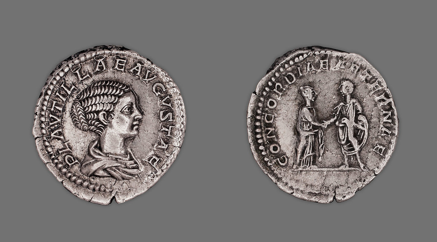 Denarius (Coin) Portraying Plautilla - Roman, minted in Rome, Poster Print Wall Art