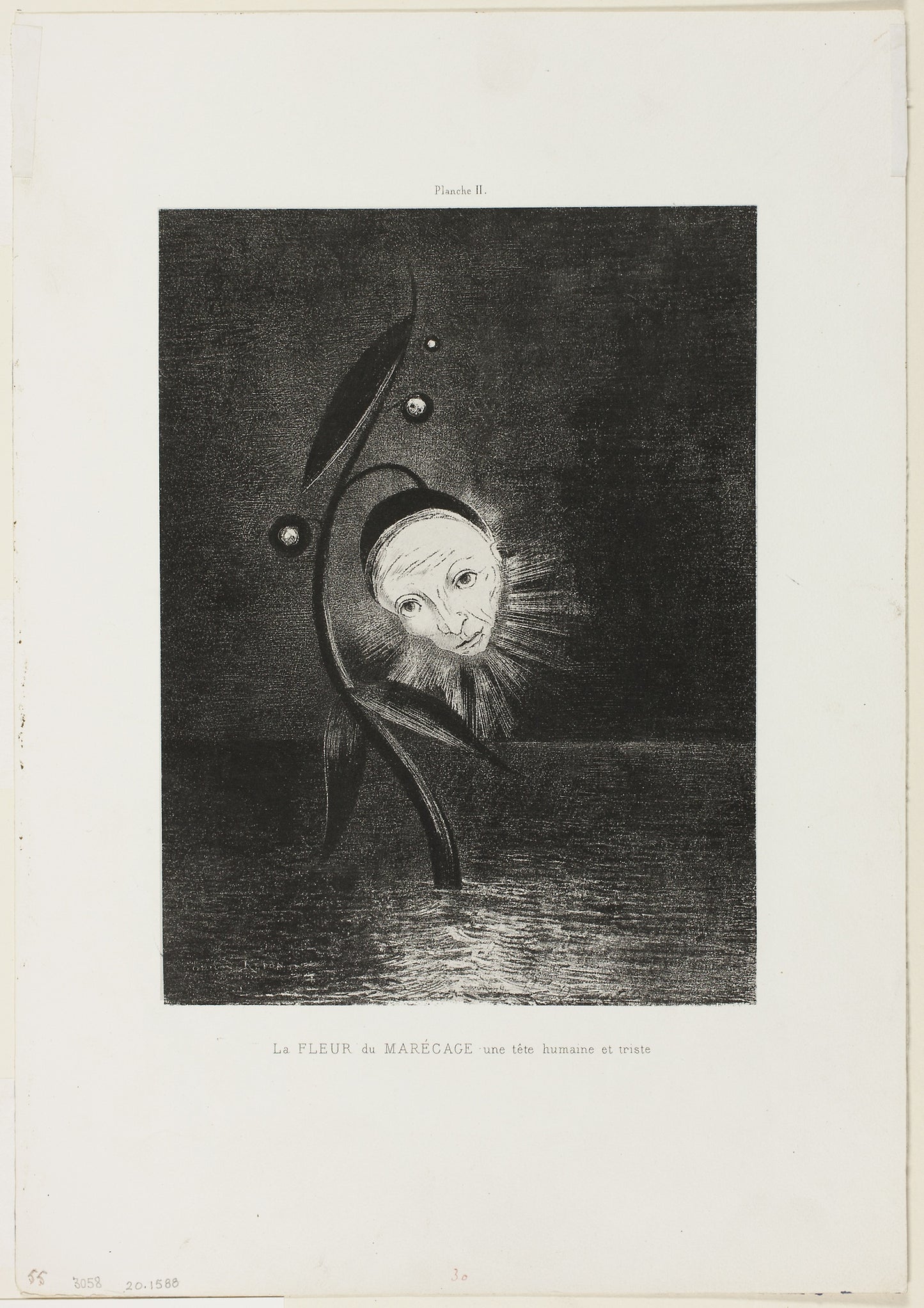 The Marsh Flower, a Sad Human Head, plate 2 of 6 - Odilon Redon, Poster Print Wall Art