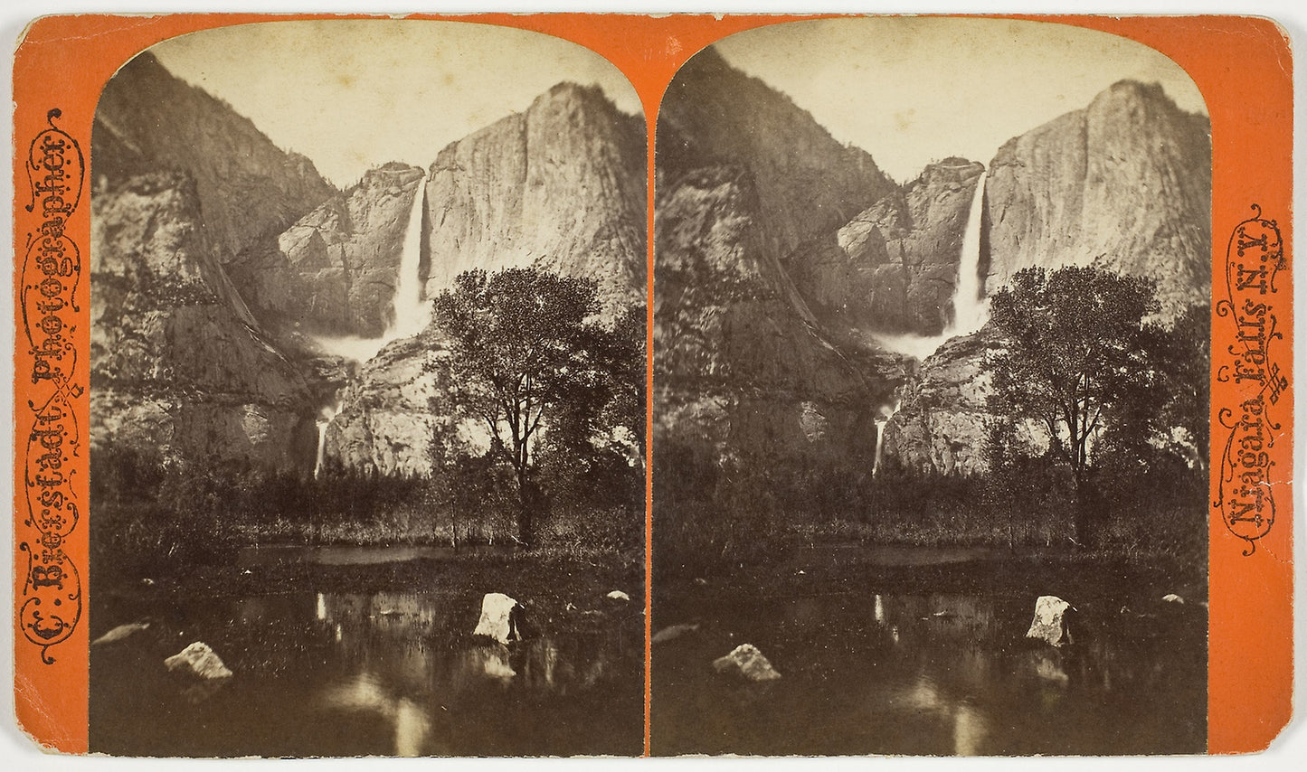 Untitled - Charles Bierstadt, Poster Print Wall Art