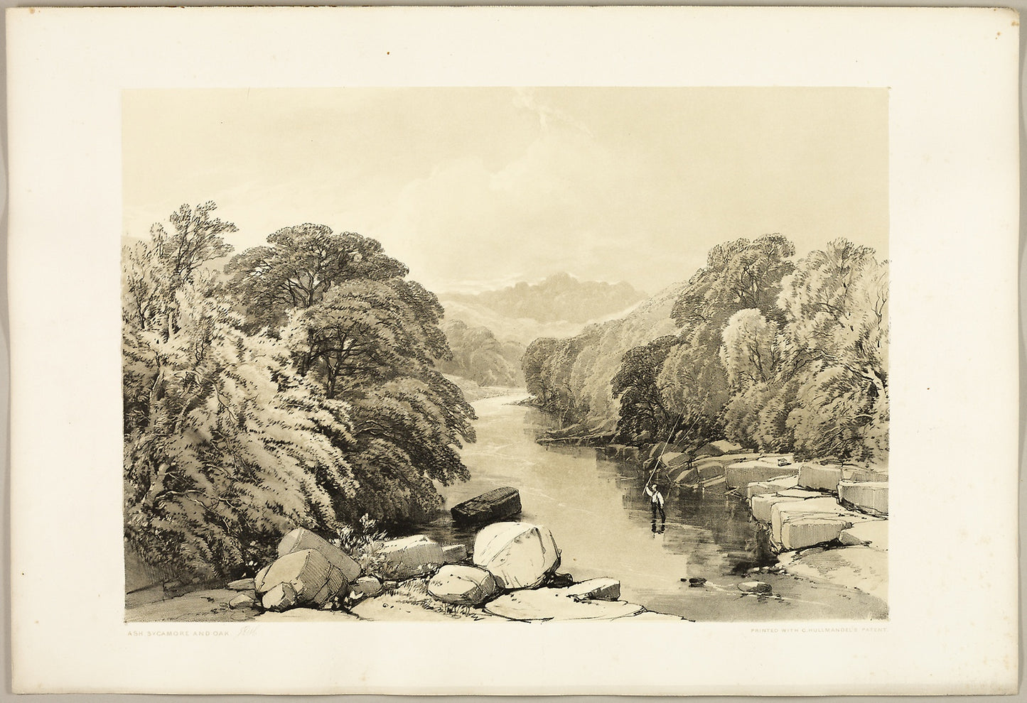 Ash, Sycamore and Oak, from The Park and the Forest - James Duffield Harding (English, 1798-1863), Poster Print Wall Art