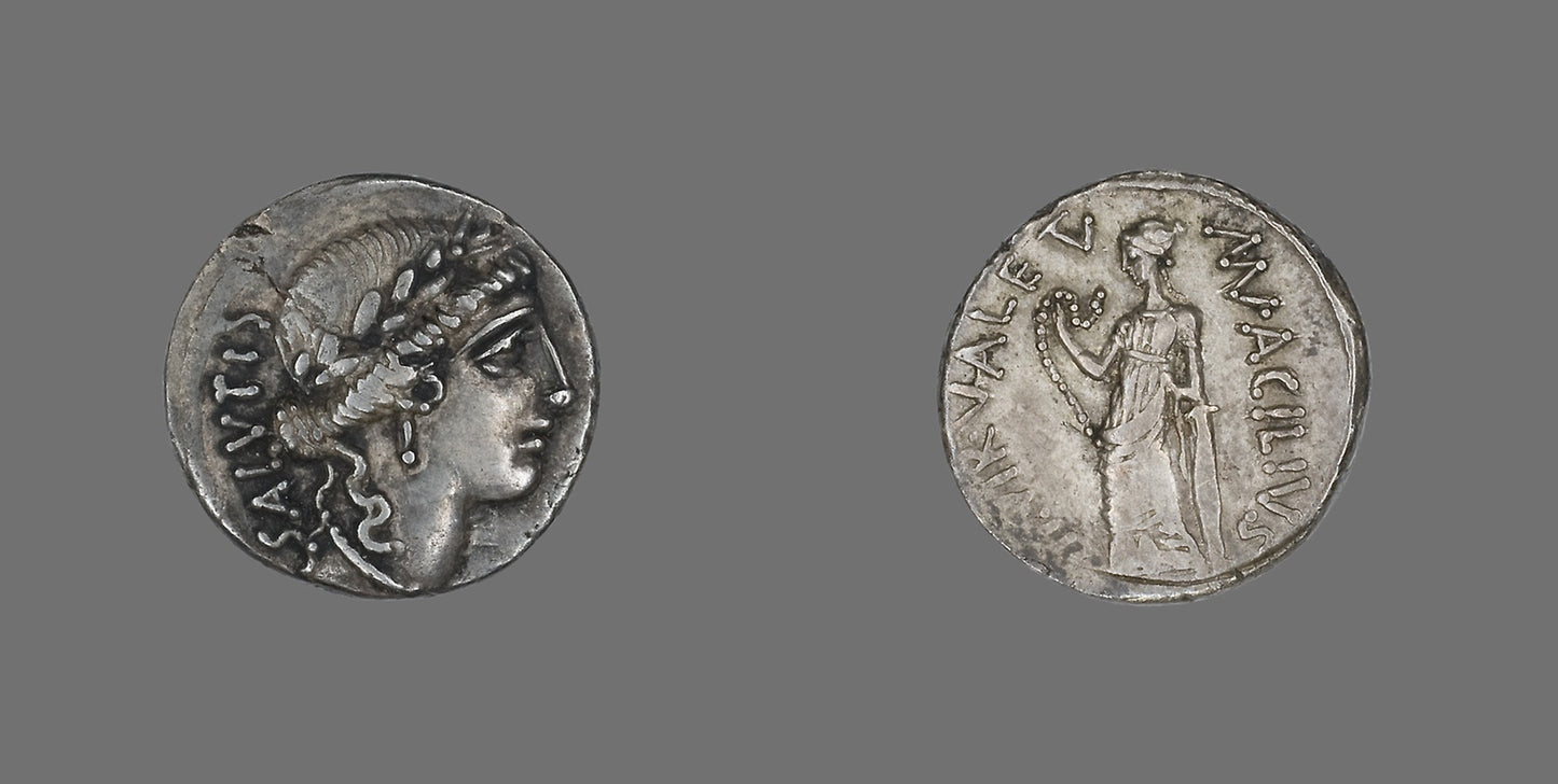Denarius (Coin) Depicting Salutis - Roman, Poster Print Wall Art