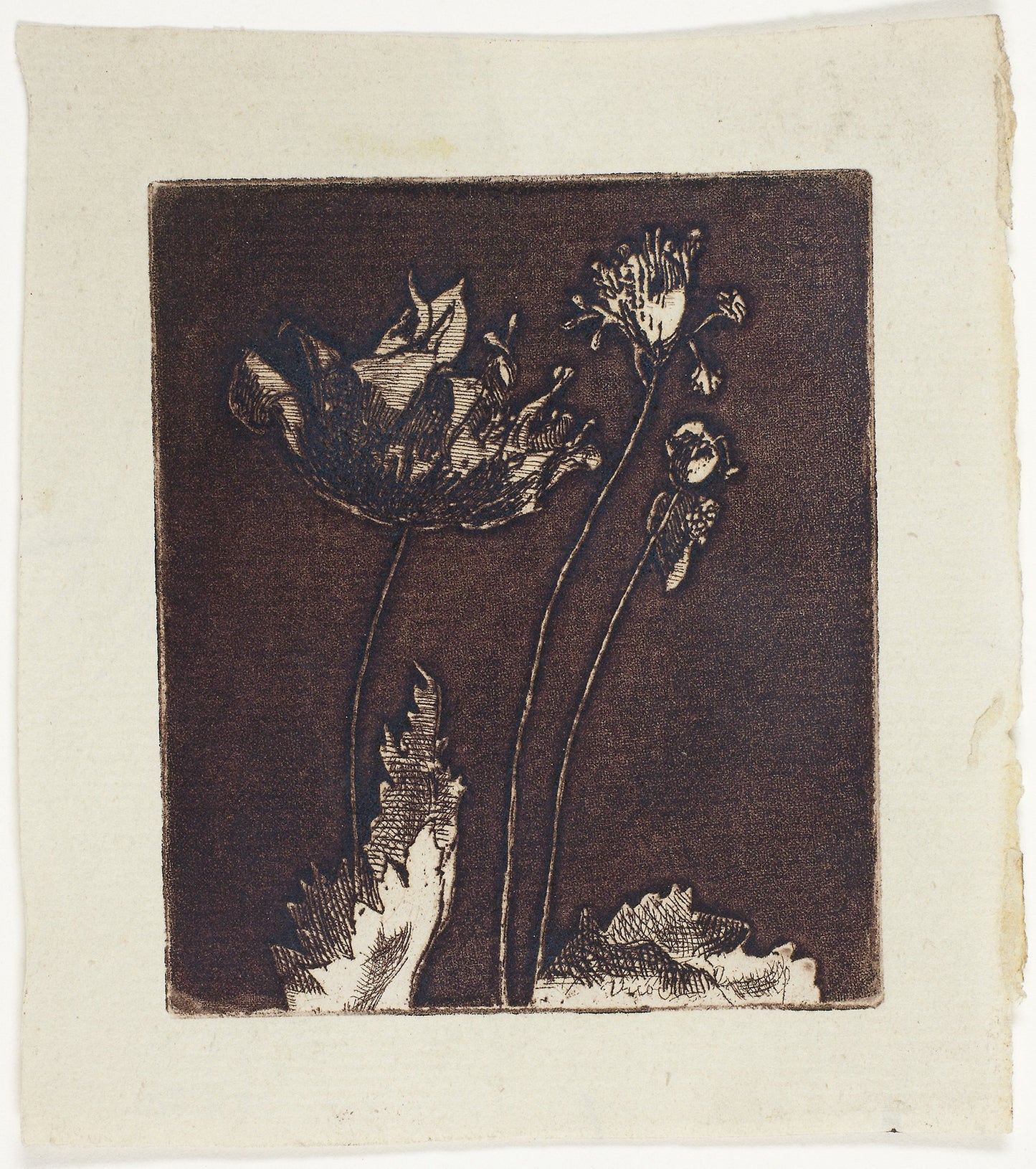 Last Poppies - Theodore Roussel, Poster Print Wall Art