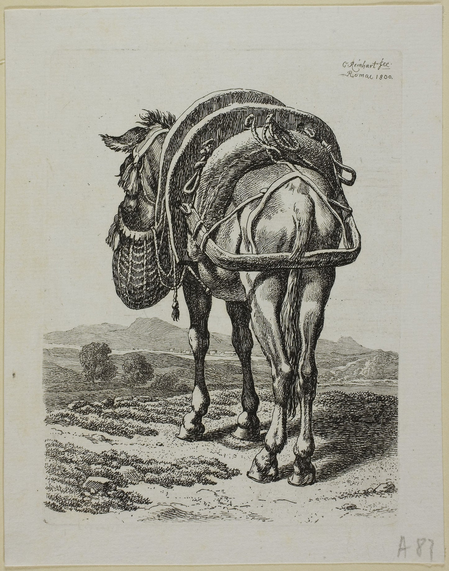 Feeding Mule - Rear, from Die Zweite Thierfolge - Johann Christian Reinhart, Poster Print Wall Art