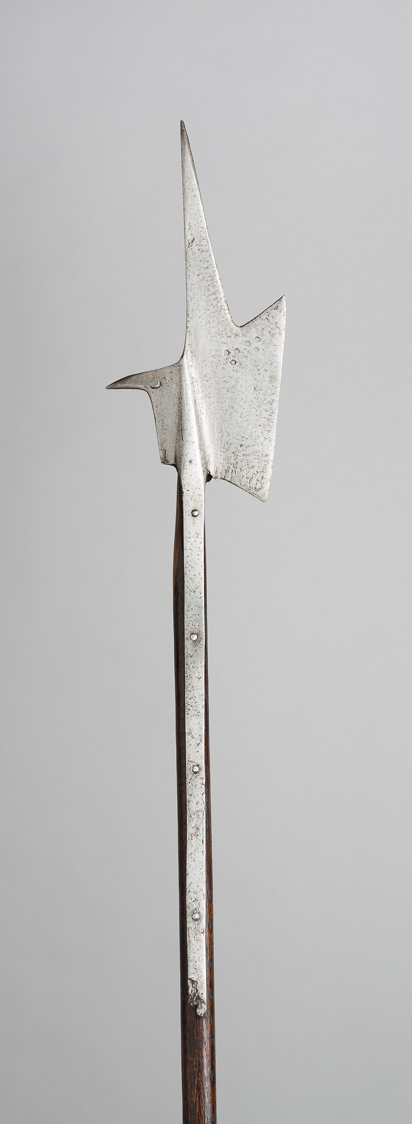 Halberd - German, Poster Print Wall Art