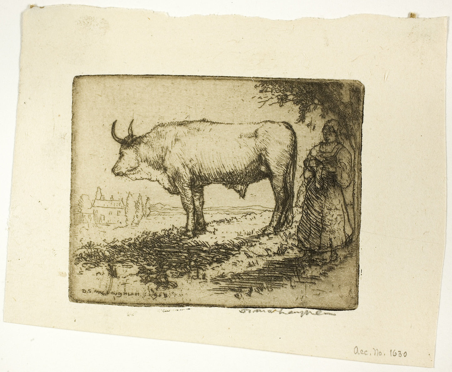 The White Ox - Donald Shaw MacLaughlan, Poster Print Wall Art