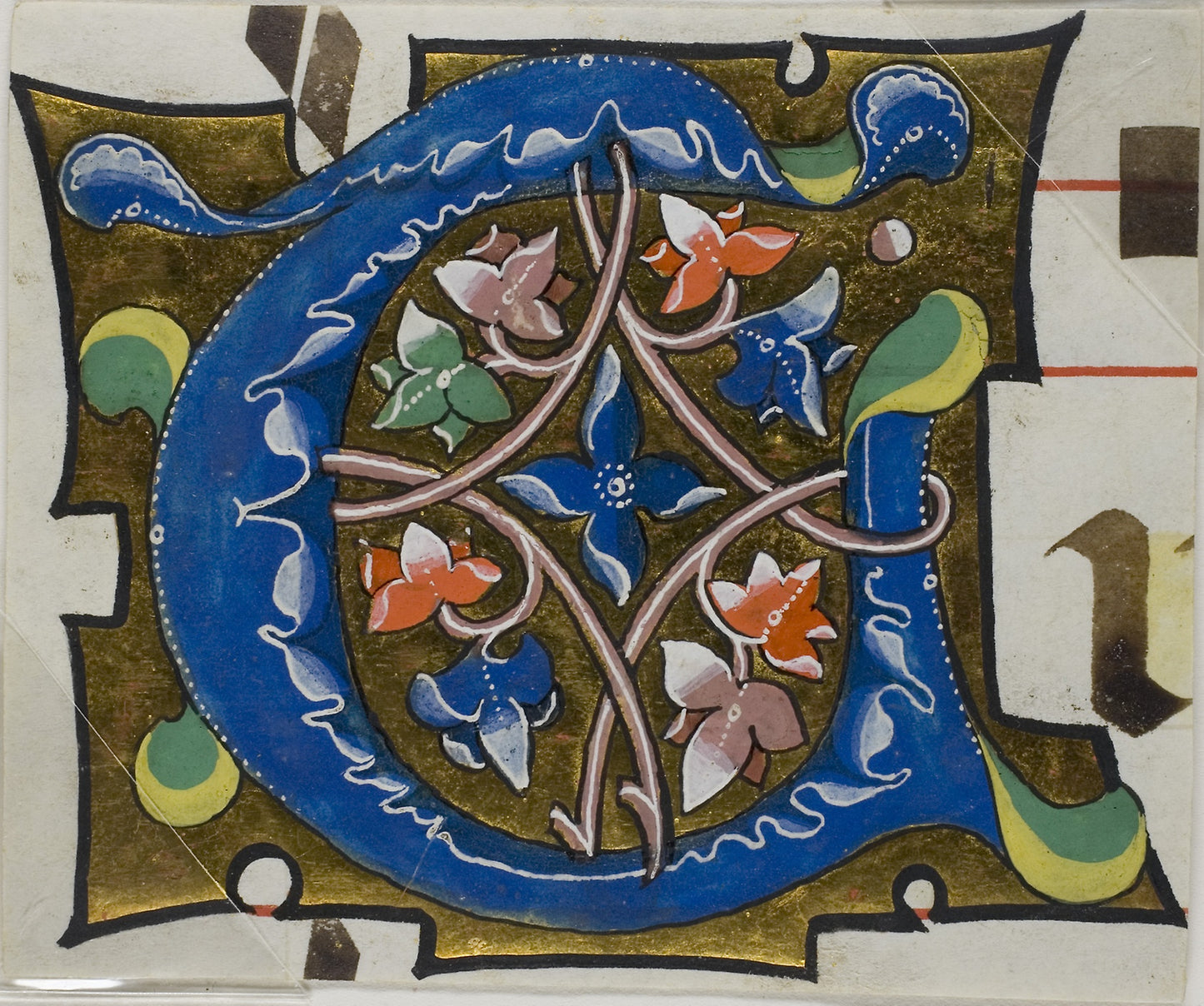 Decorated Initial "T" with Flowers from a Choirbook - Unknown Artist, Poster Print Wall Art