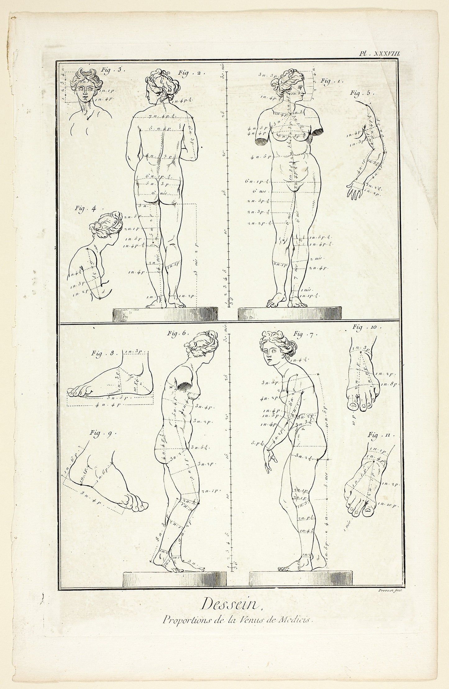 Design - Proportions of the Medici Venus, from Encyclopédie - Benoît-Louis Prévost (French, c. 1735-1809), Poster Print Wall Art