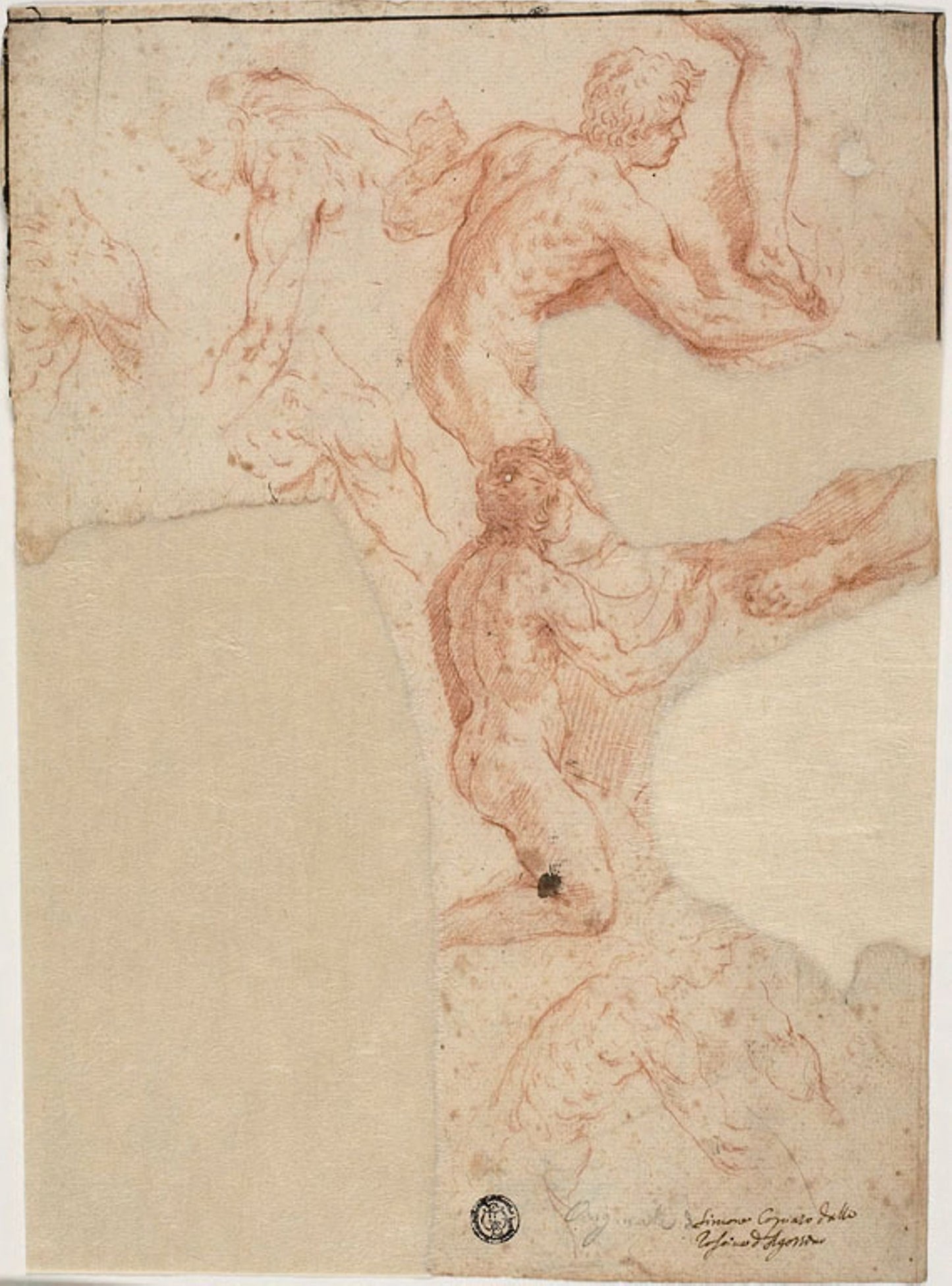 Sketches of Male Nudes, Legs (recto); Sketches of Male Nudes (verso) - Simone Cantarini, Poster Print Wall Art