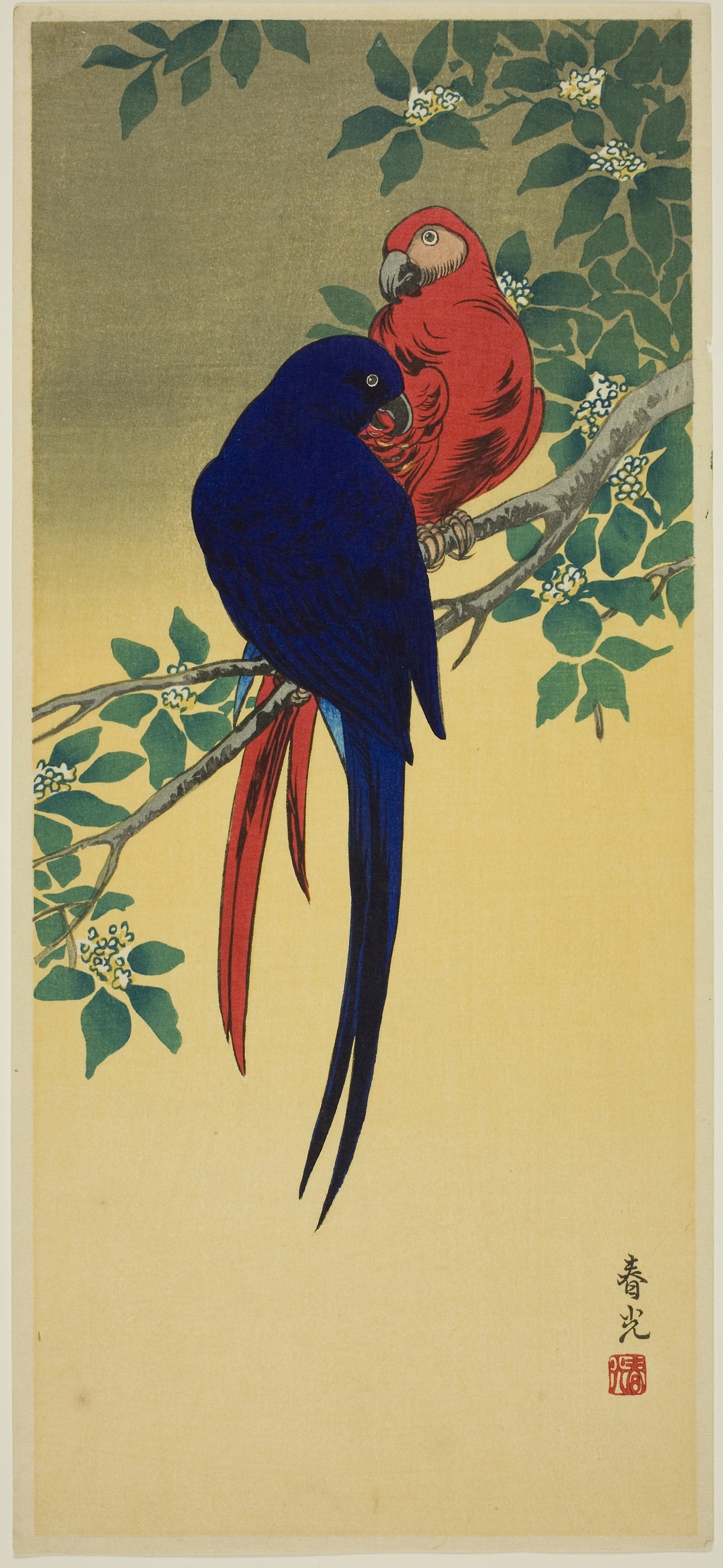 Blue and Red Macaws - Shunko (Harumitsu), Poster Print Wall Art