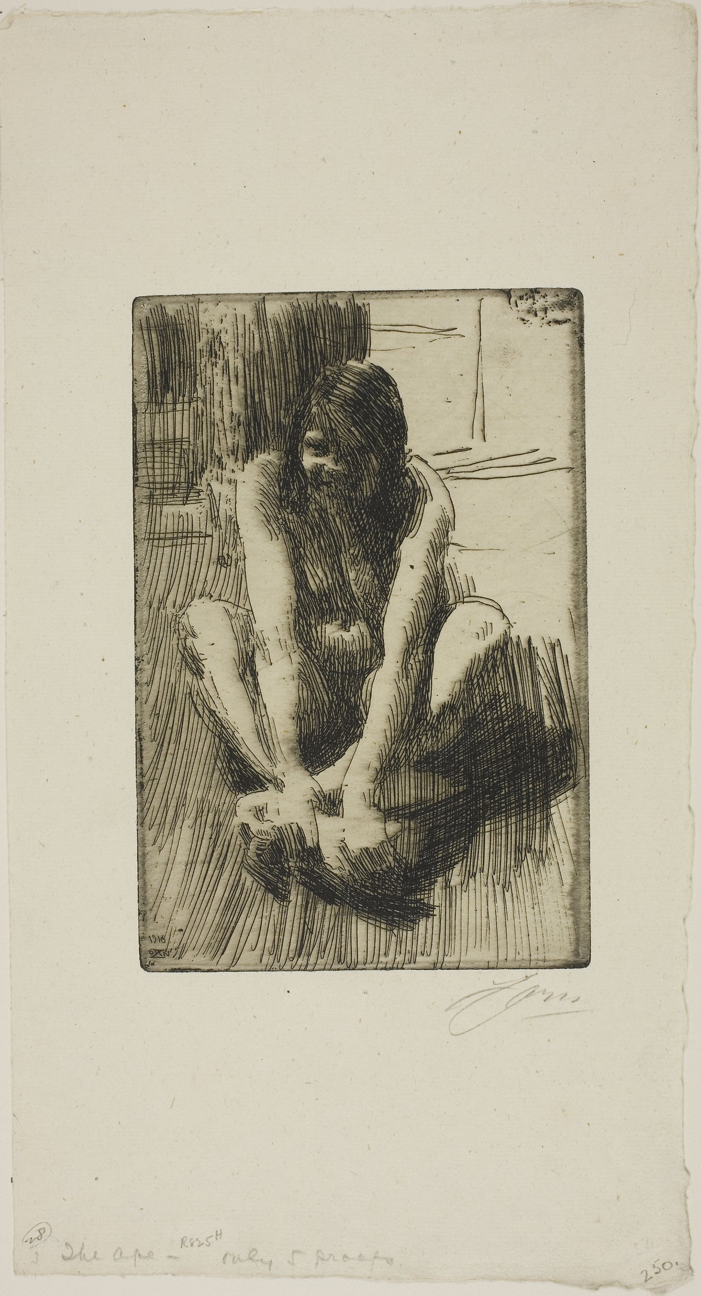 The Frog - Anders Zorn, Poster Print Wall Art