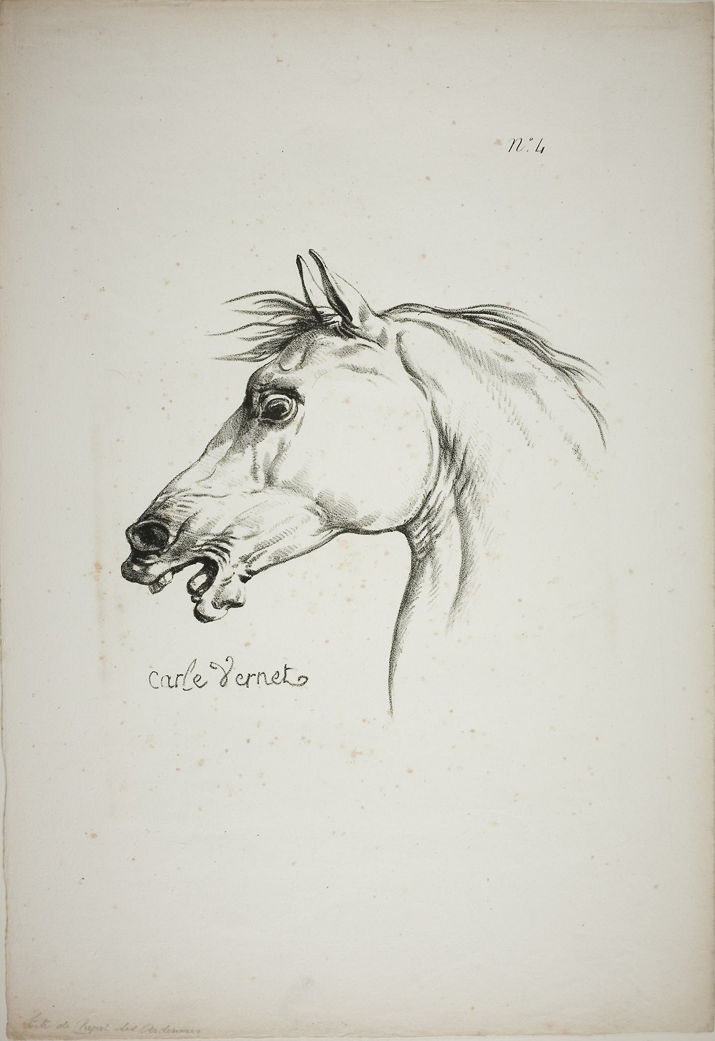 Detail of Horse's Head, Enlarged to Triple Size, Norman Royal Guard, No. 4 - Carle Vernet (French, 1758-1836), Poster Print Wall Art