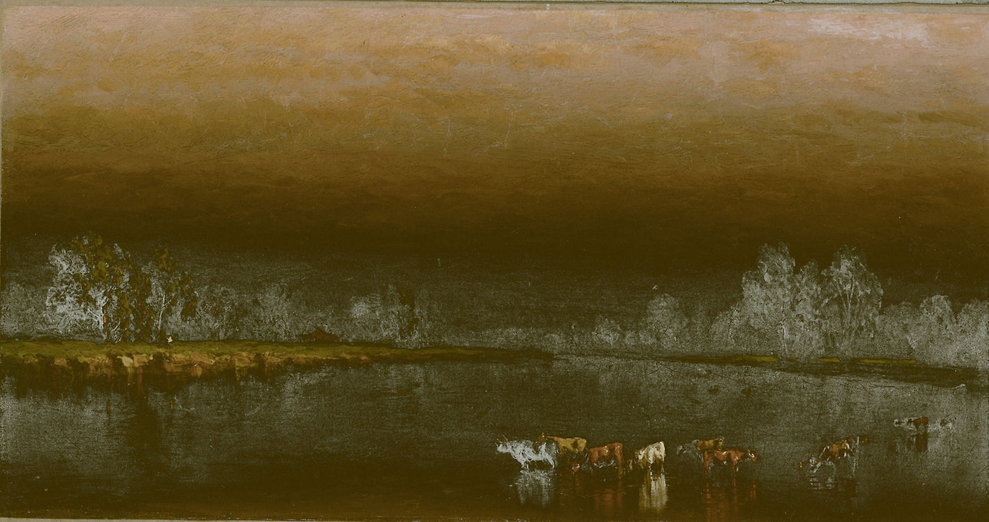 Cows in a Pond at Sunset - Sanford Robinson Gifford, Poster Print Wall Art