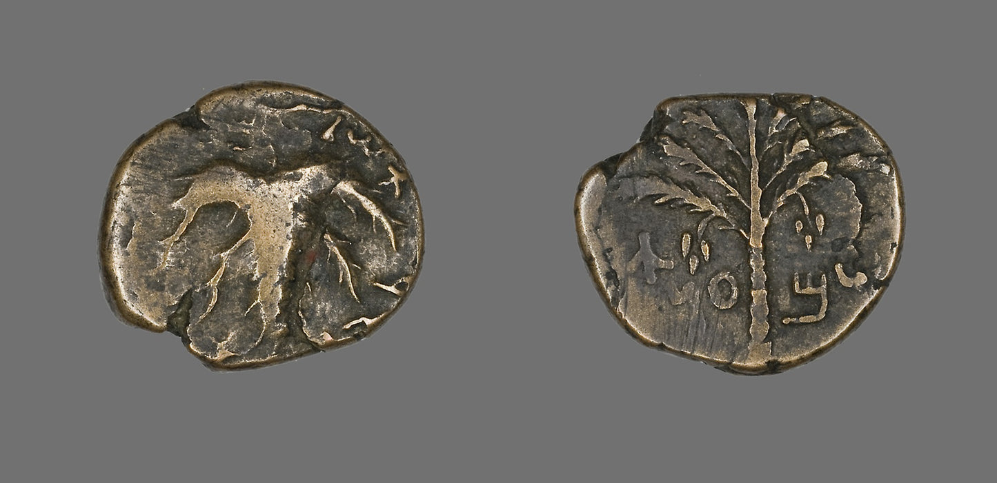 Coin Depicting a Palm Tree - Judaean, Poster Print Wall Art